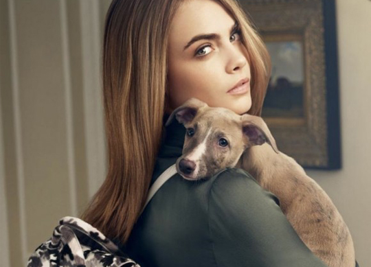 Cara Delevingne Mulberry Bag Collection