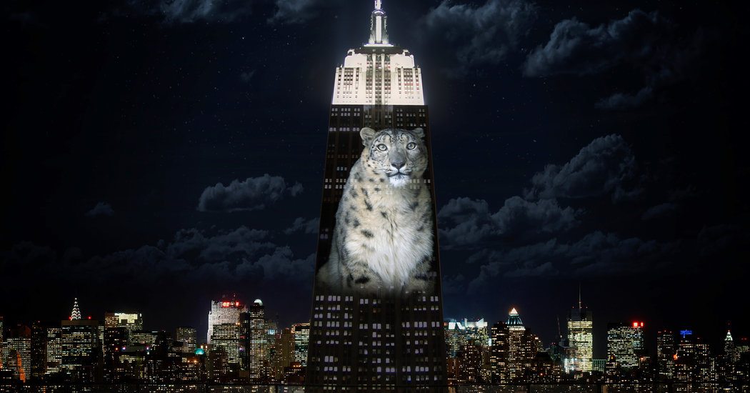 Illuminating Endangered Species Onto The Empire State Building This Saturday