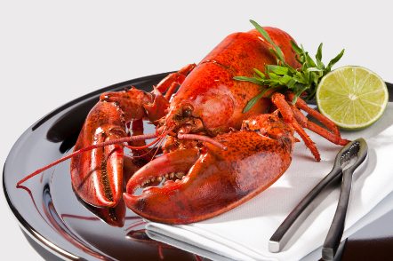 The Inside Shuck – How To Prepare The Perfect Lobster