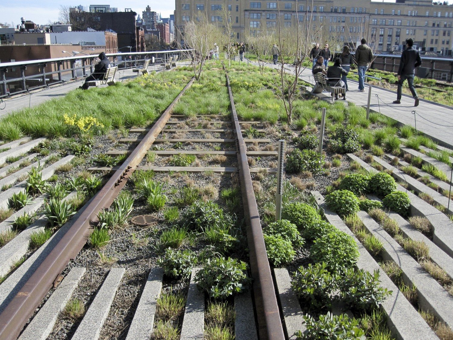 Enjoy Fall Events On The High Line