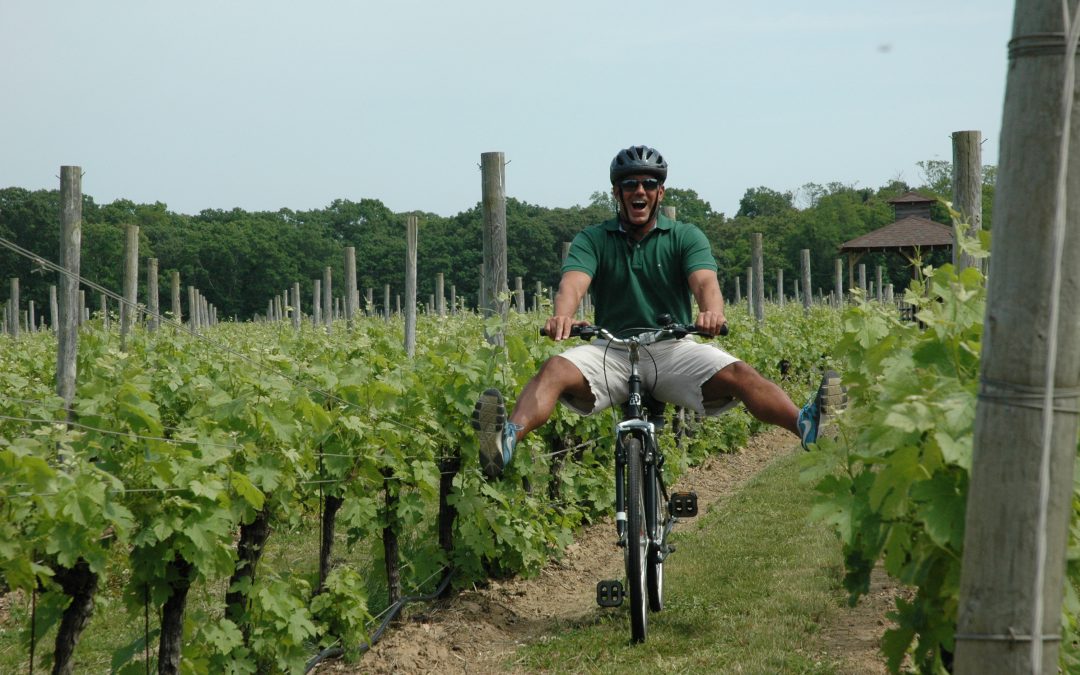 Bike Through Long Island’s North Fork and Wine Country