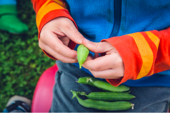 The Benefits Of Growing A Family Garden