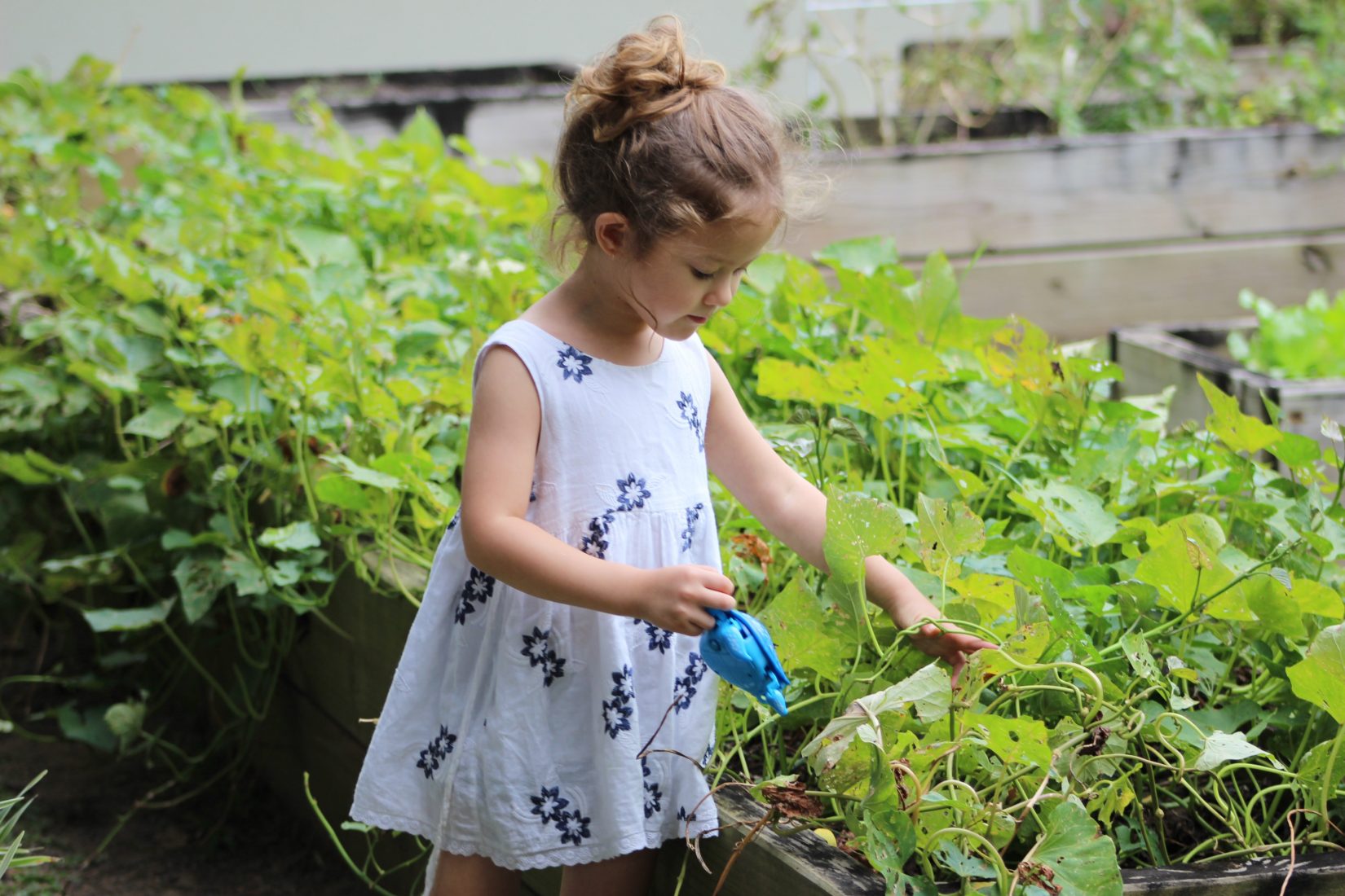 Gardening with Kids: A PAUSE Activity