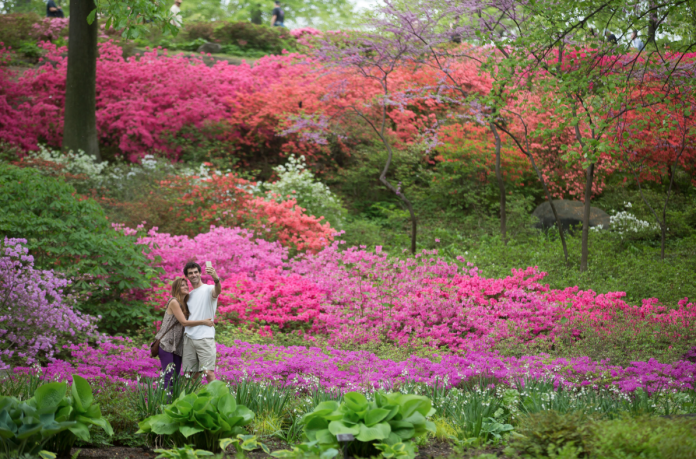 Ny Botanical Garden Gift Shop