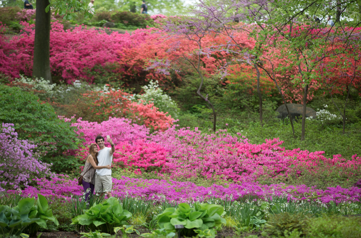 New York Botanical Garden Announces, Reopening to the General Public