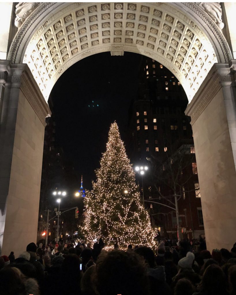 Washington Square Park Christmas Treet